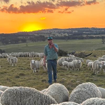 Shadows to Sunlight - For Ranga