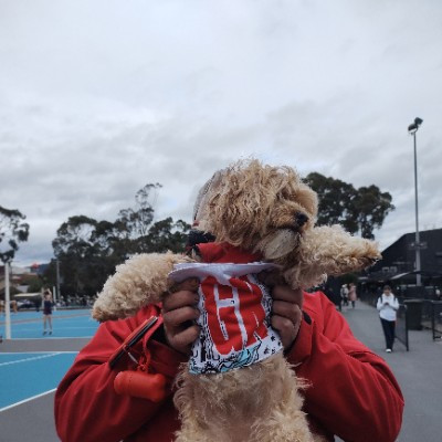 Sassafras Ferny Creek Netball Club