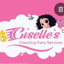 Giselle cleaning fairy services