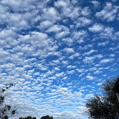 Barossa Cares